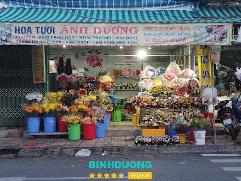 Hoa Tươi Ánh Dương: 18 Tháng 9, tt. Phước Vĩnh, Phú Giáo