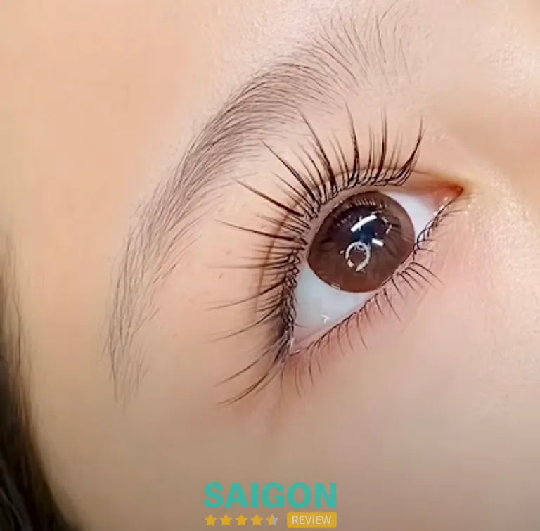 Z.O.A EyeLash: 76/7 Hẻm 133 Phan Văn Hớn, P. Đông Hưng Thuận